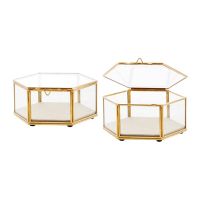 Filename=A_1303.jpg
Filesize=17KiB
Dimensions=500x500
Date added=Nov 30, 2019 A_1303.jpg