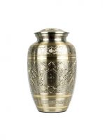 Filename=CP_1039.jpg
Filesize=21KiB
Dimensions=400x543
Date added=Feb 12, 2023 CP_1039.jpg