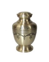 Filename=CP_1342.jpg
Filesize=23KiB
Dimensions=530x668
Date added=Nov 14, 2022 CP_1342.jpg