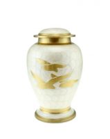 Filename=CP_1347.jpg
Filesize=13KiB
Dimensions=407x511
Date added=Dec 13, 2022 CP_1347.jpg